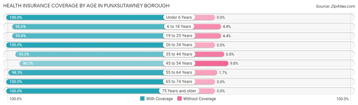 Health Insurance Coverage by Age in Punxsutawney borough