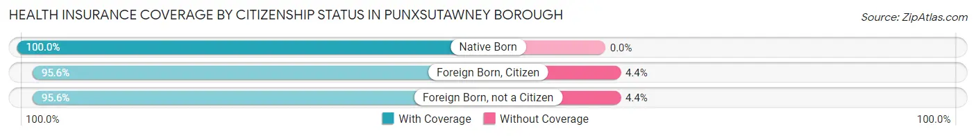 Health Insurance Coverage by Citizenship Status in Punxsutawney borough