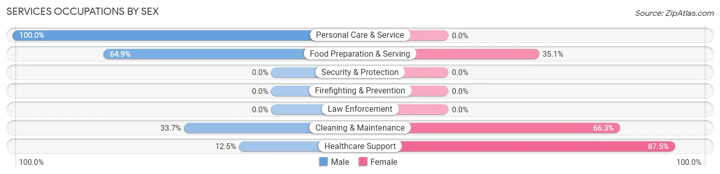 Services Occupations by Sex in Punxsutawney borough