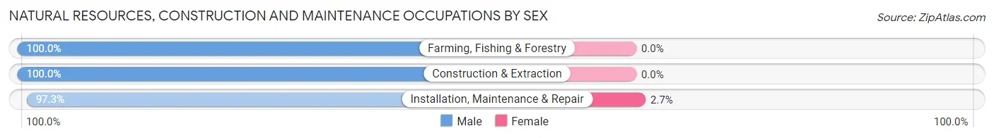 Natural Resources, Construction and Maintenance Occupations by Sex in Pymatuning Central