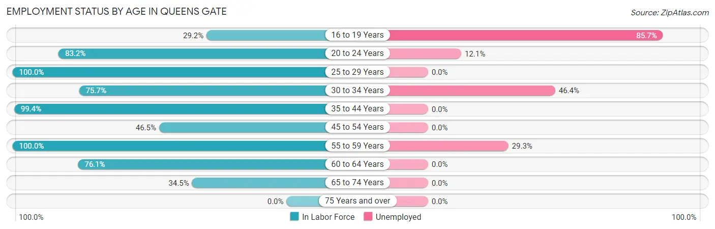 Employment Status by Age in Queens Gate