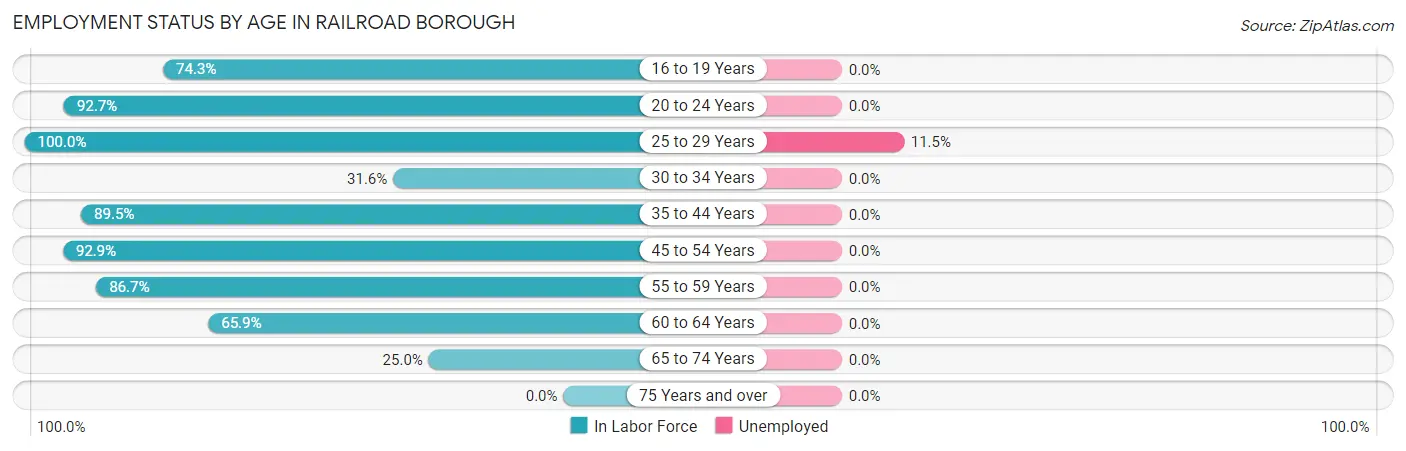 Employment Status by Age in Railroad borough