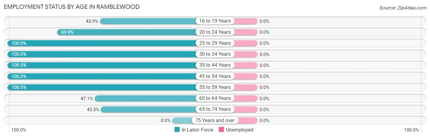 Employment Status by Age in Ramblewood