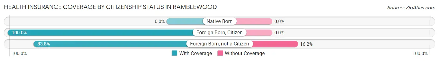 Health Insurance Coverage by Citizenship Status in Ramblewood