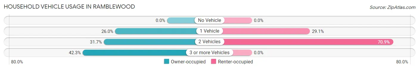 Household Vehicle Usage in Ramblewood