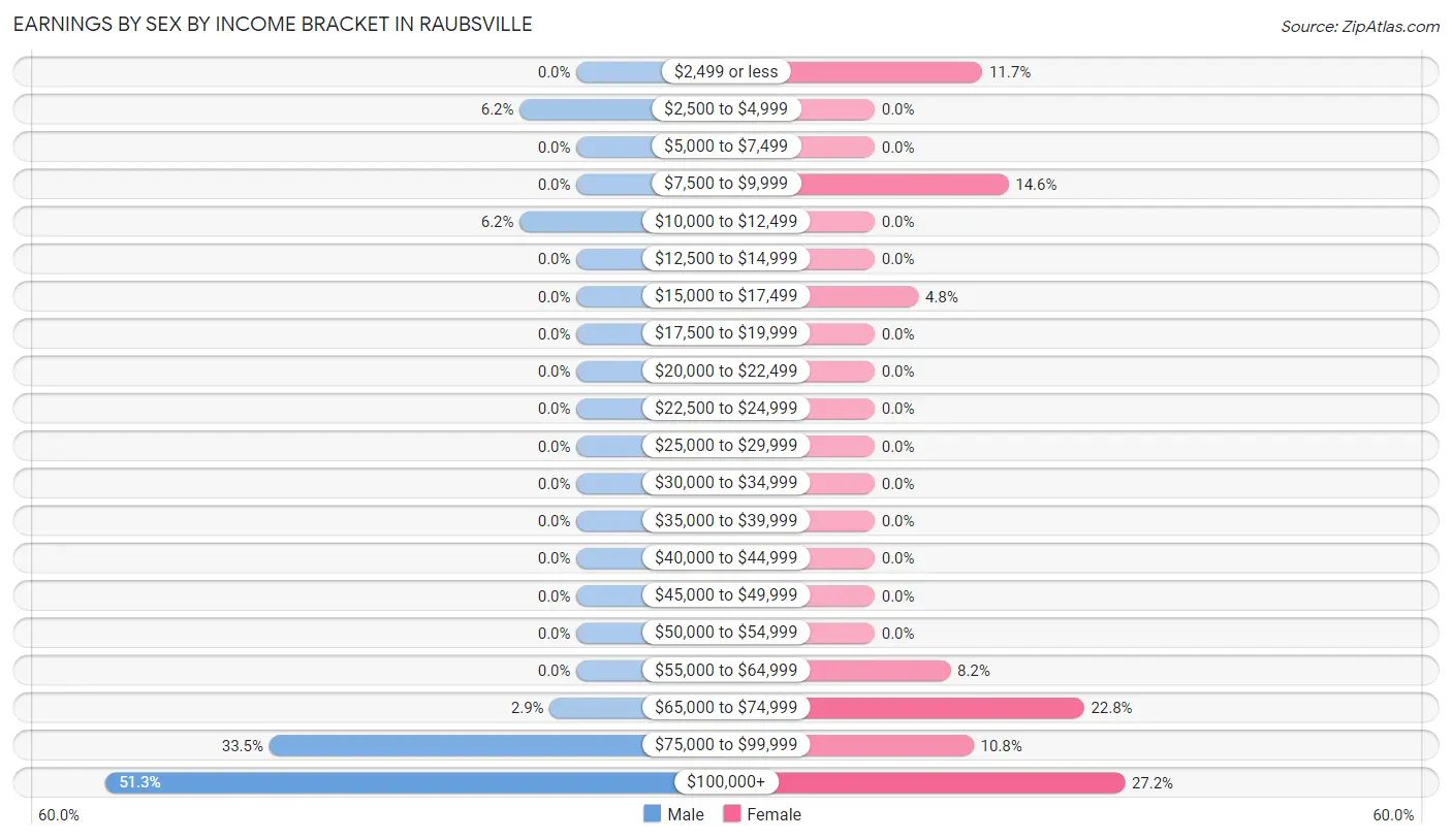Earnings by Sex by Income Bracket in Raubsville