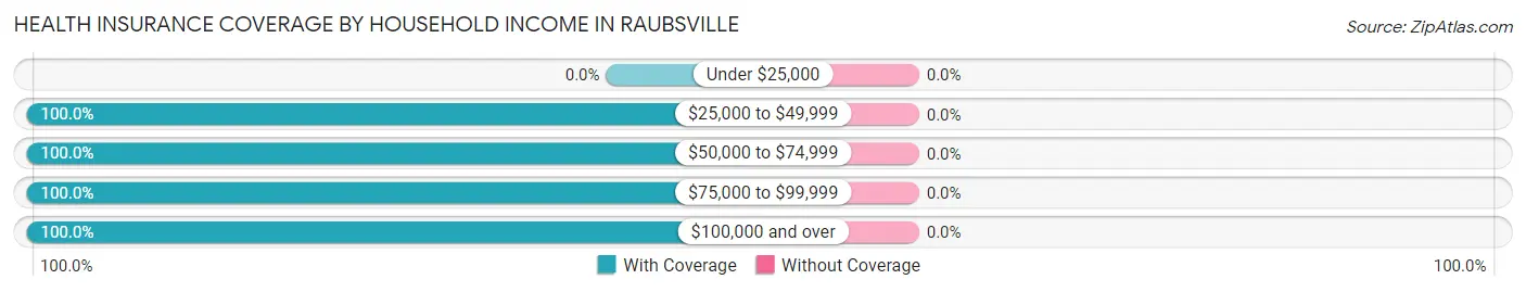 Health Insurance Coverage by Household Income in Raubsville