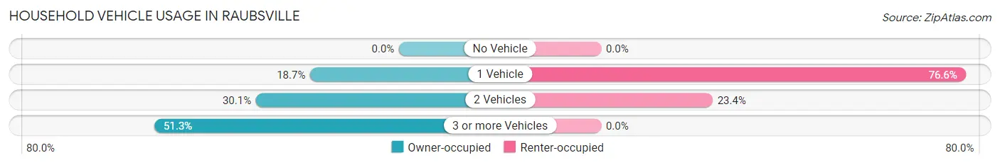 Household Vehicle Usage in Raubsville