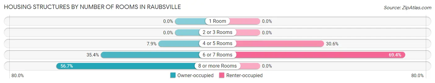Housing Structures by Number of Rooms in Raubsville
