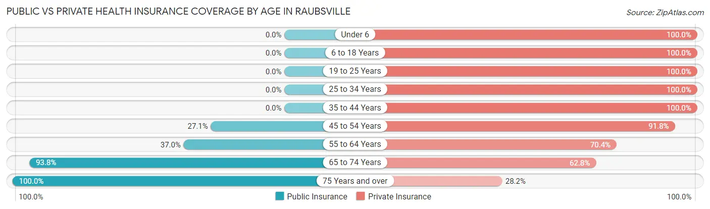 Public vs Private Health Insurance Coverage by Age in Raubsville