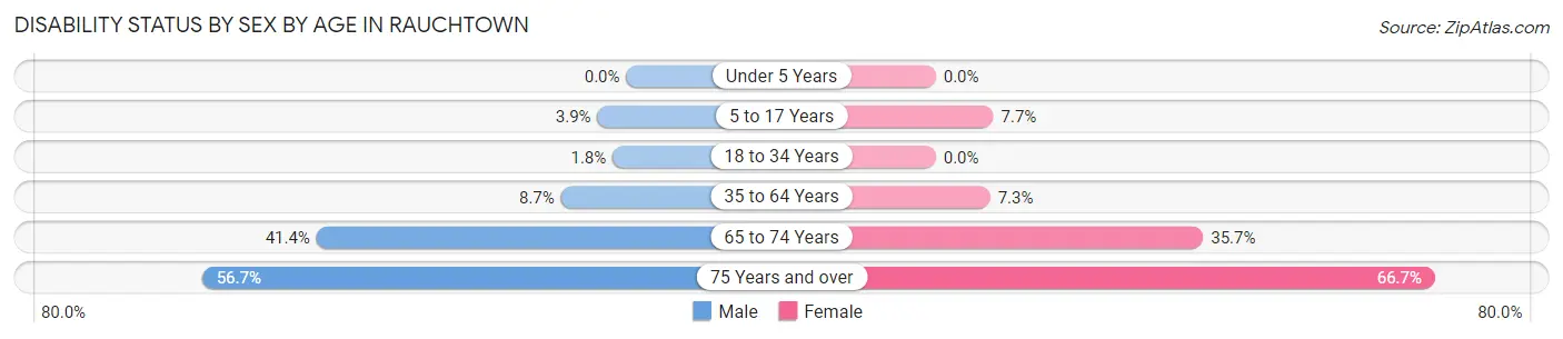 Disability Status by Sex by Age in Rauchtown