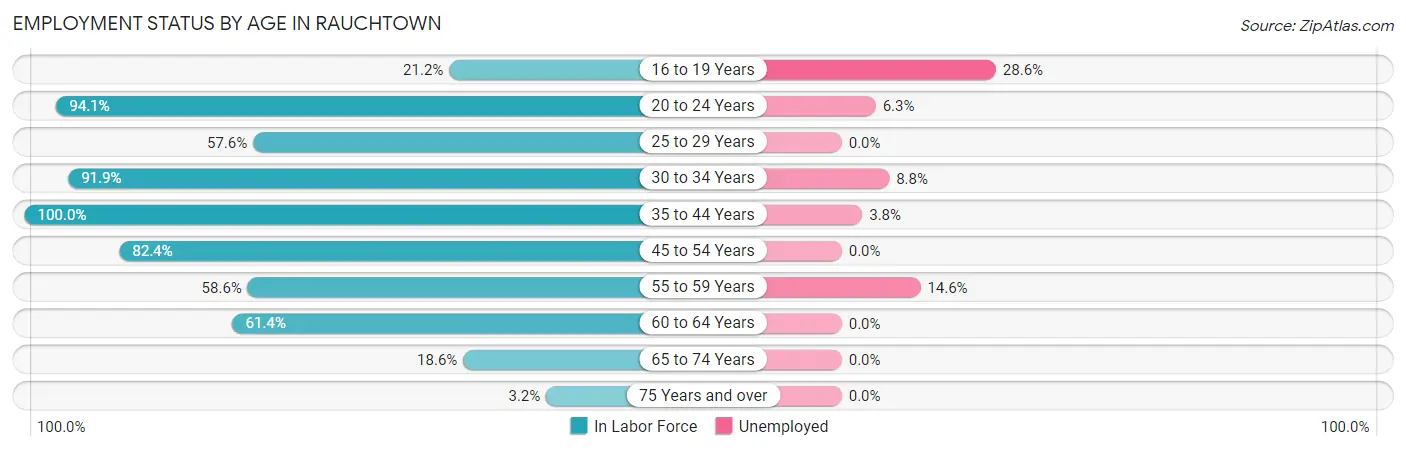 Employment Status by Age in Rauchtown