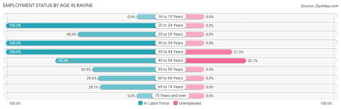 Employment Status by Age in Ravine