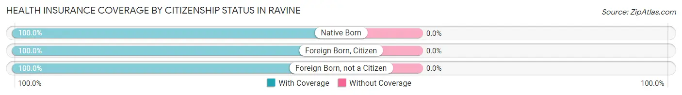 Health Insurance Coverage by Citizenship Status in Ravine