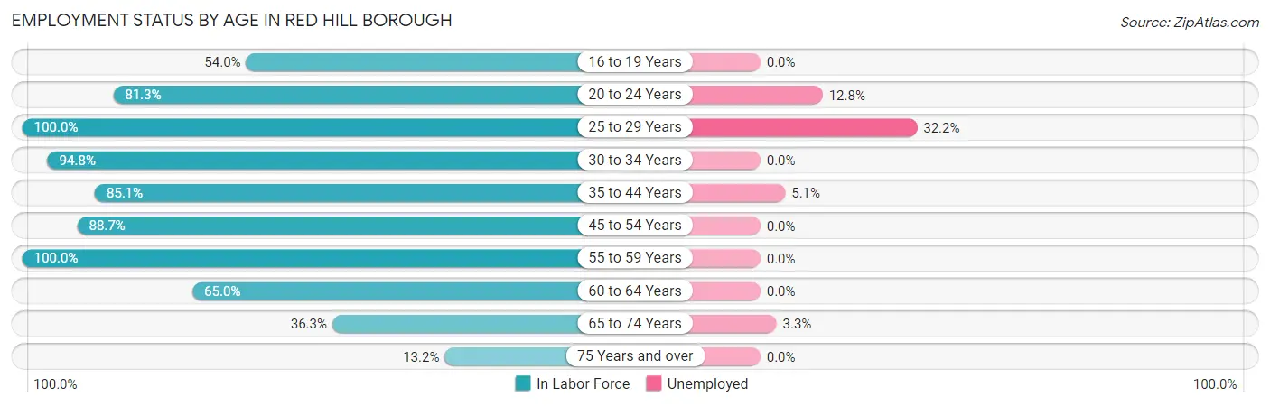 Employment Status by Age in Red Hill borough