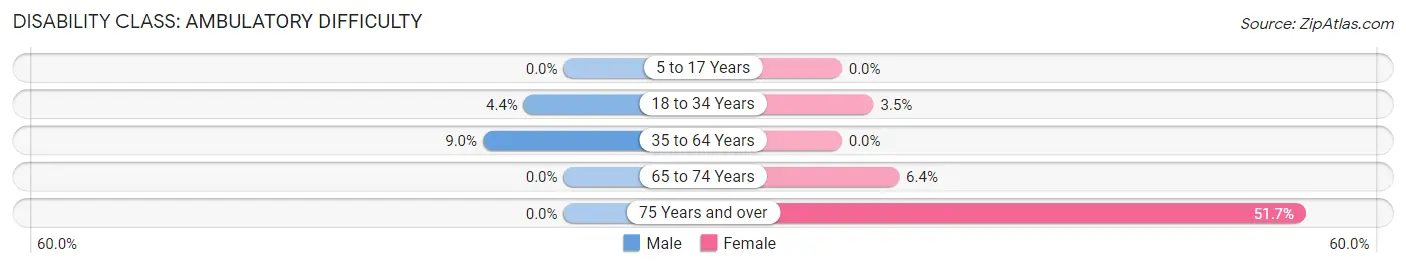 Disability in Reiffton: <span>Ambulatory Difficulty</span>