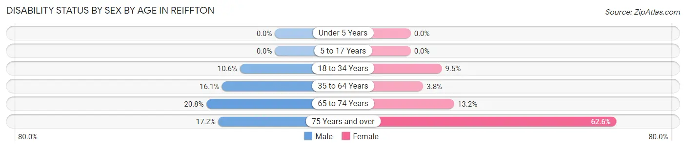 Disability Status by Sex by Age in Reiffton
