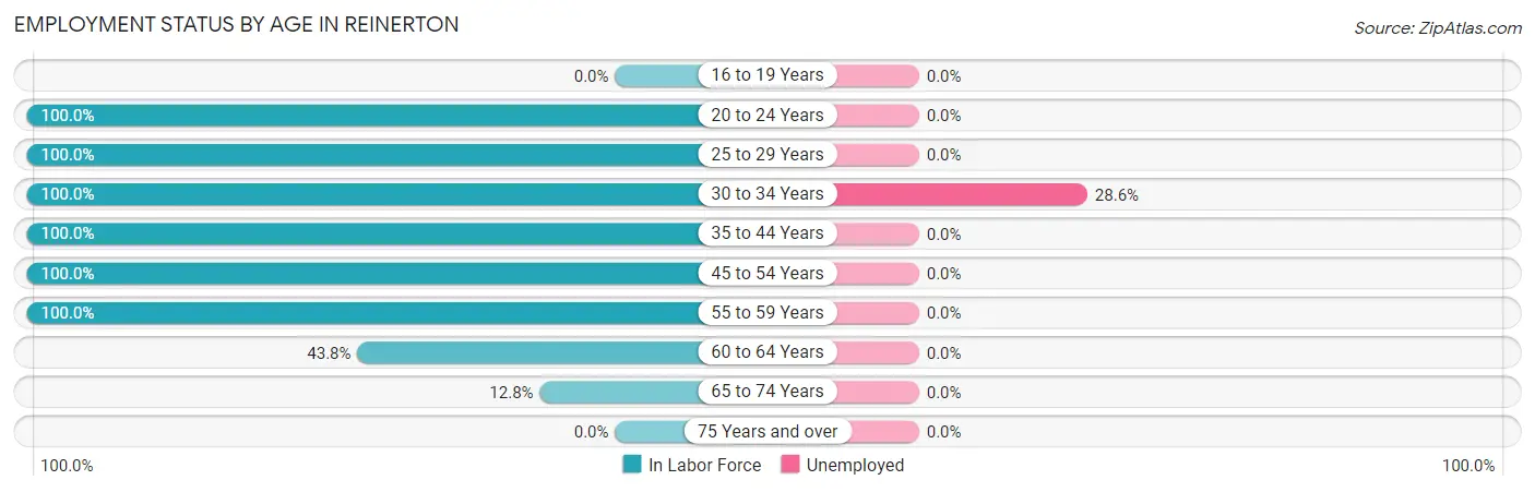 Employment Status by Age in Reinerton