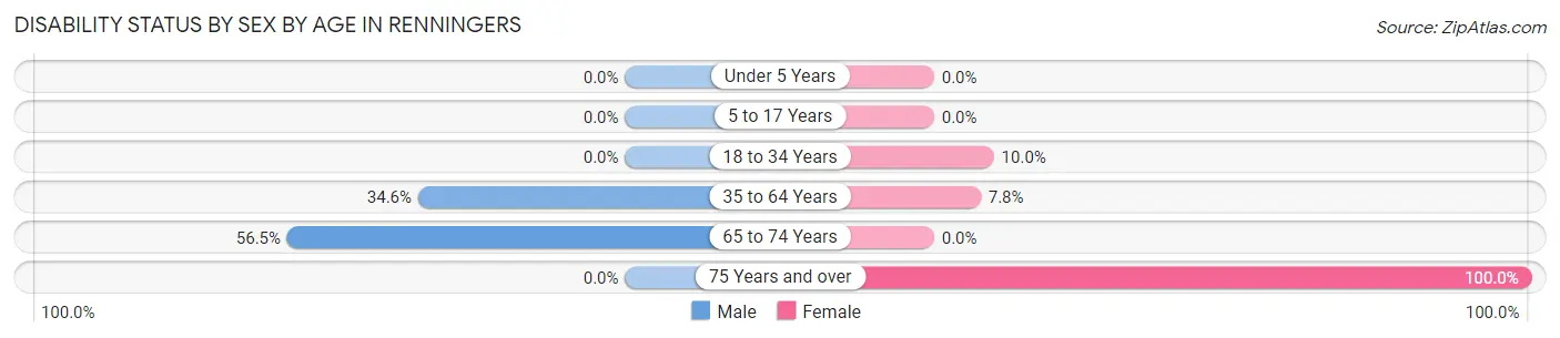 Disability Status by Sex by Age in Renningers