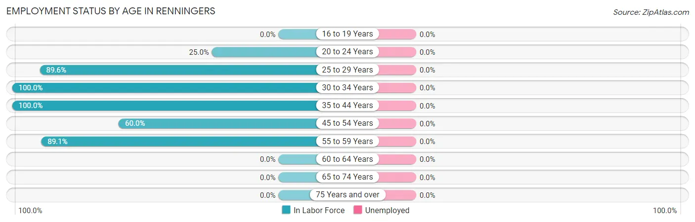Employment Status by Age in Renningers