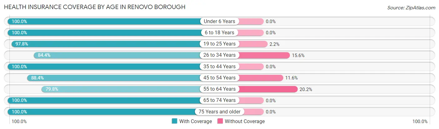 Health Insurance Coverage by Age in Renovo borough