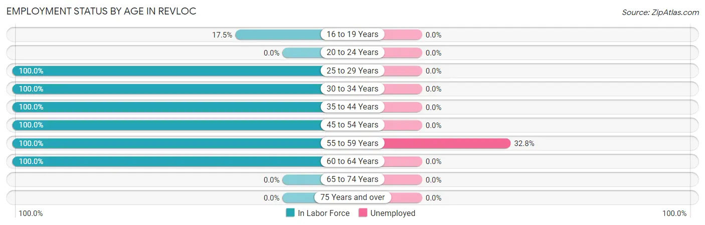 Employment Status by Age in Revloc