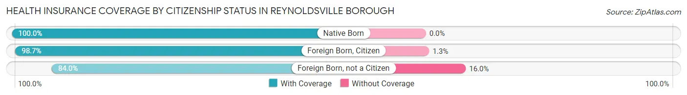 Health Insurance Coverage by Citizenship Status in Reynoldsville borough