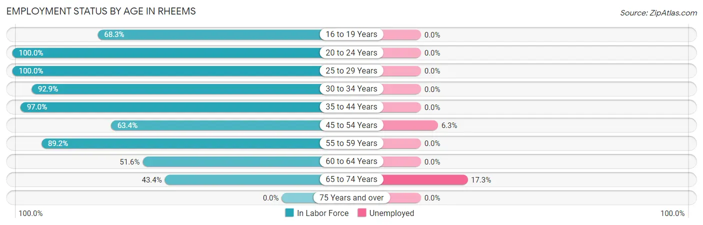 Employment Status by Age in Rheems