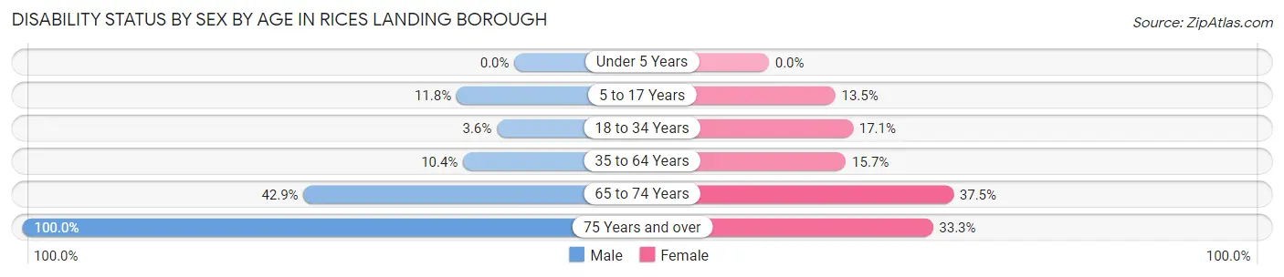 Disability Status by Sex by Age in Rices Landing borough