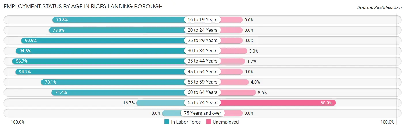 Employment Status by Age in Rices Landing borough