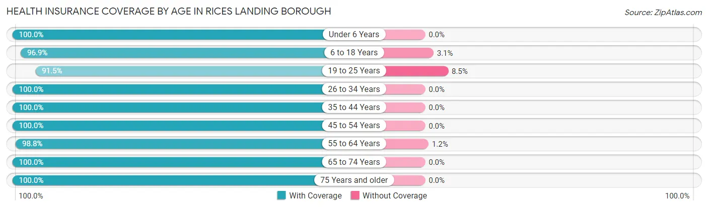 Health Insurance Coverage by Age in Rices Landing borough