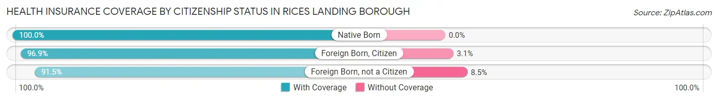Health Insurance Coverage by Citizenship Status in Rices Landing borough