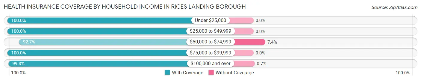 Health Insurance Coverage by Household Income in Rices Landing borough