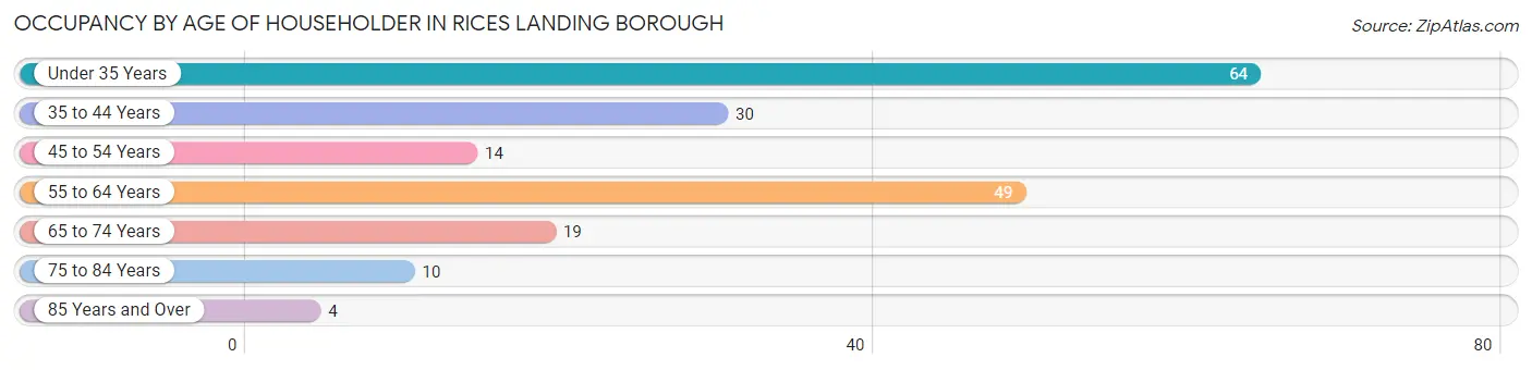 Occupancy by Age of Householder in Rices Landing borough