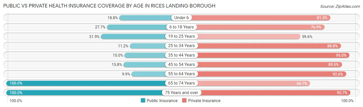 Public vs Private Health Insurance Coverage by Age in Rices Landing borough