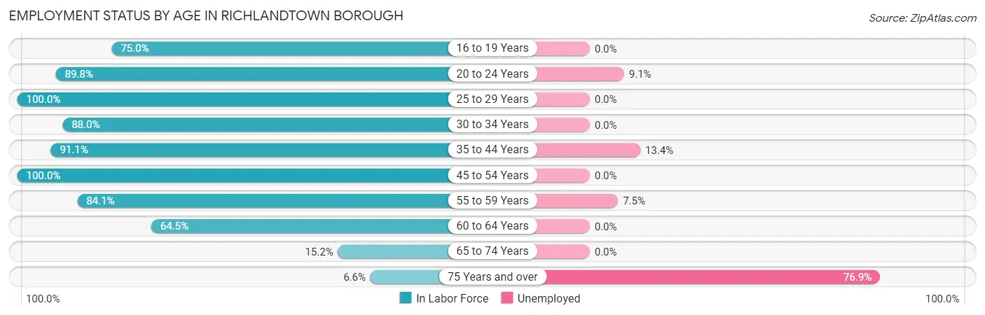 Employment Status by Age in Richlandtown borough