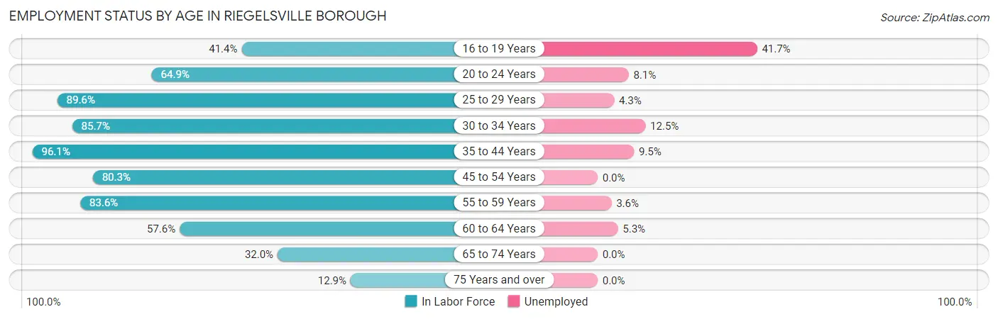 Employment Status by Age in Riegelsville borough