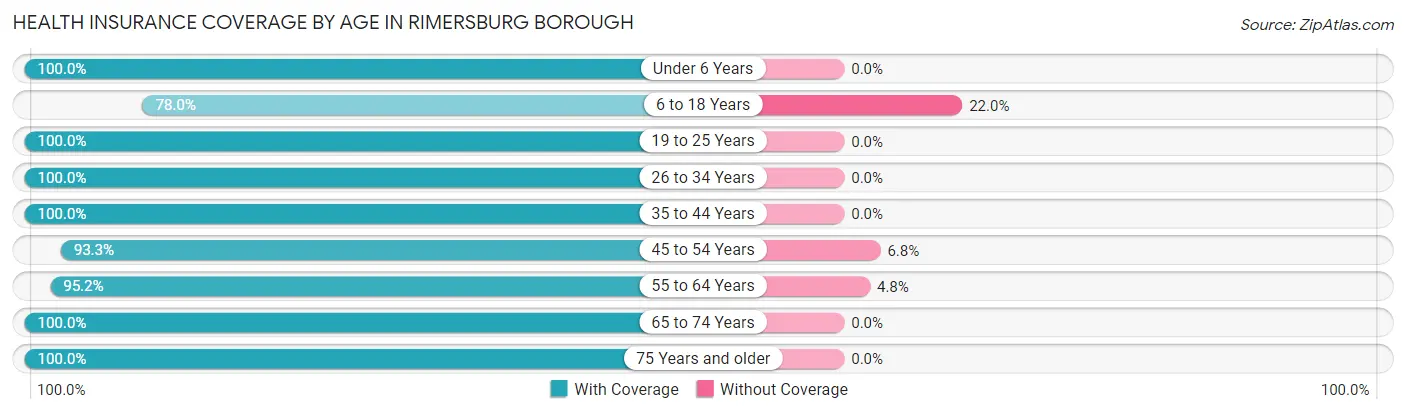 Health Insurance Coverage by Age in Rimersburg borough