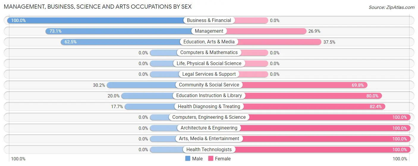 Management, Business, Science and Arts Occupations by Sex in Rimersburg borough