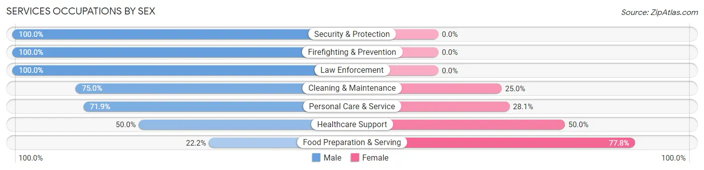 Services Occupations by Sex in Rimersburg borough