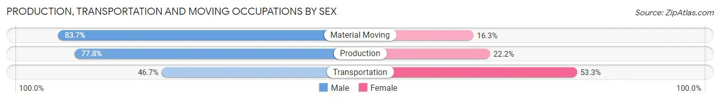 Production, Transportation and Moving Occupations by Sex in Ringtown borough