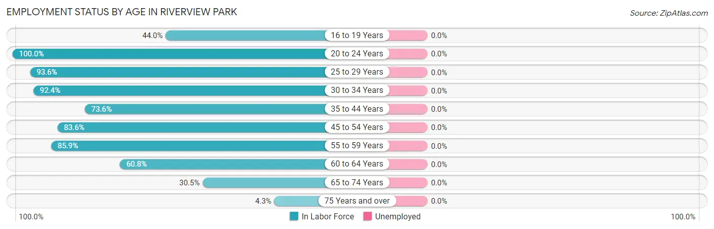 Employment Status by Age in Riverview Park