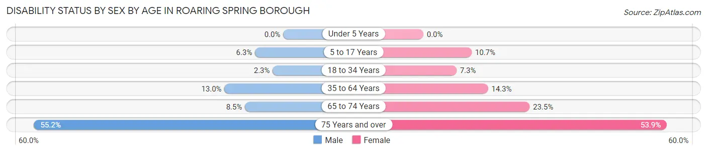Disability Status by Sex by Age in Roaring Spring borough