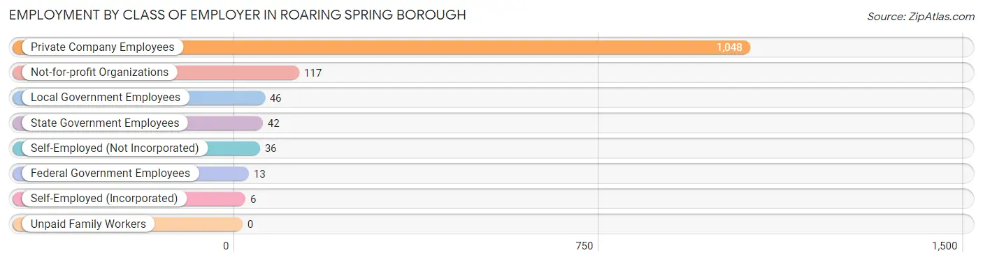 Employment by Class of Employer in Roaring Spring borough