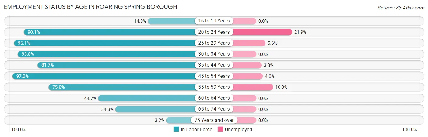 Employment Status by Age in Roaring Spring borough