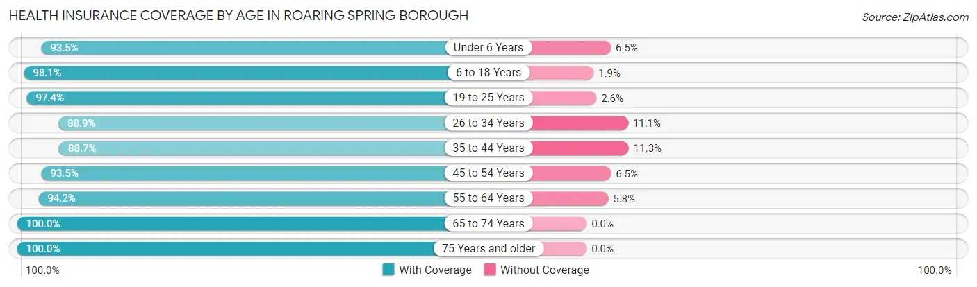 Health Insurance Coverage by Age in Roaring Spring borough