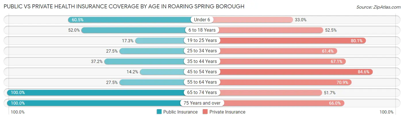 Public vs Private Health Insurance Coverage by Age in Roaring Spring borough