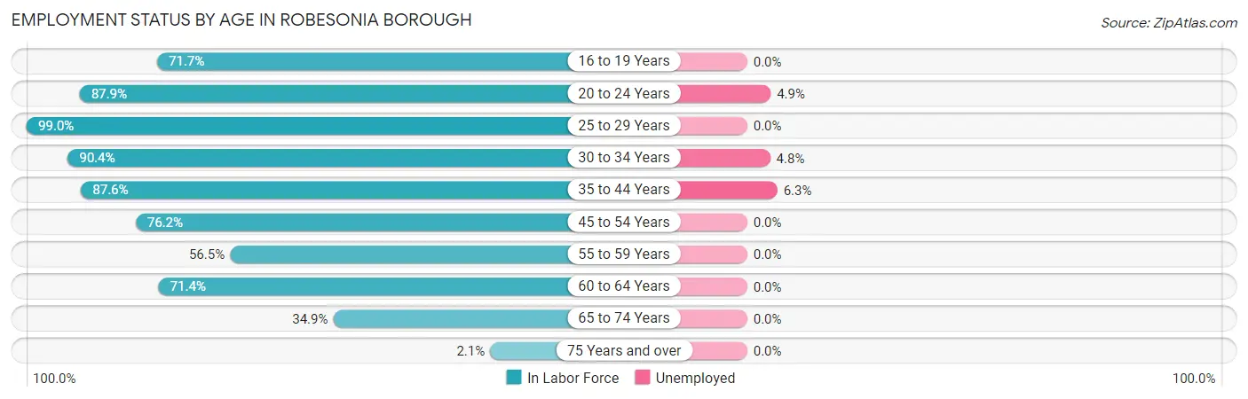 Employment Status by Age in Robesonia borough