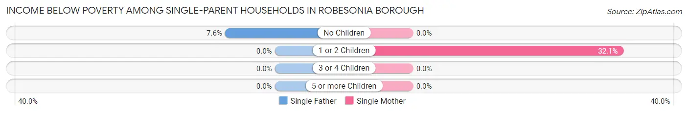 Income Below Poverty Among Single-Parent Households in Robesonia borough