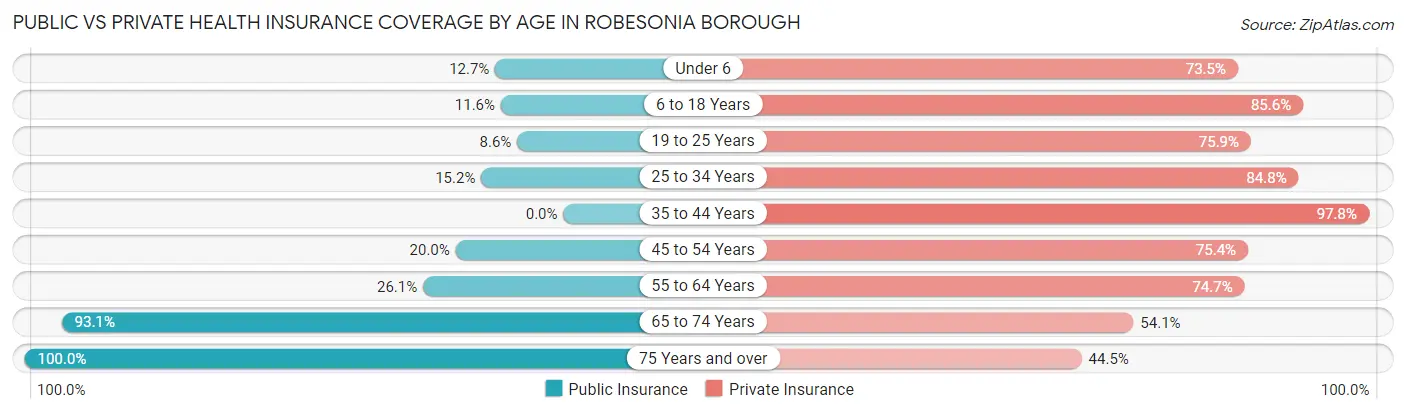 Public vs Private Health Insurance Coverage by Age in Robesonia borough